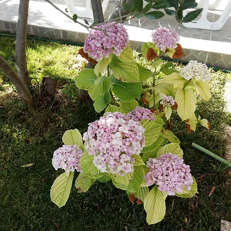 Apartments With Parking Space Trogir - 10337 Apartment *