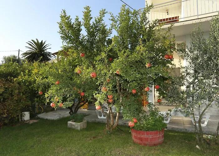 Apartments With Parking Space Trogir - 10337 Lejlighed