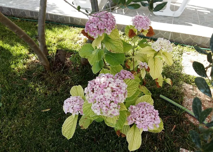 Apartments With Parking Space Trogir - 10337 Lejlighed *